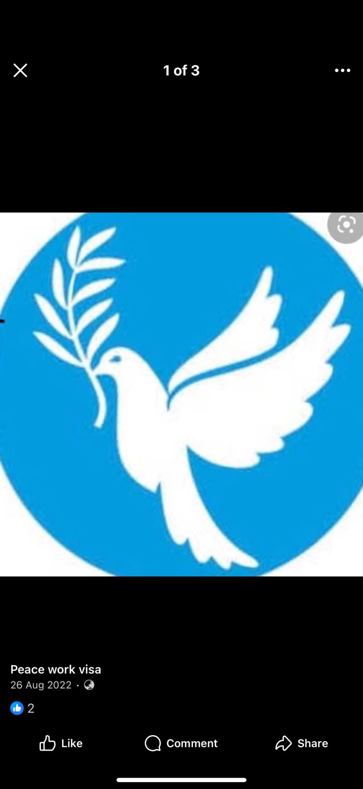 Peace and protective Recruitment agency